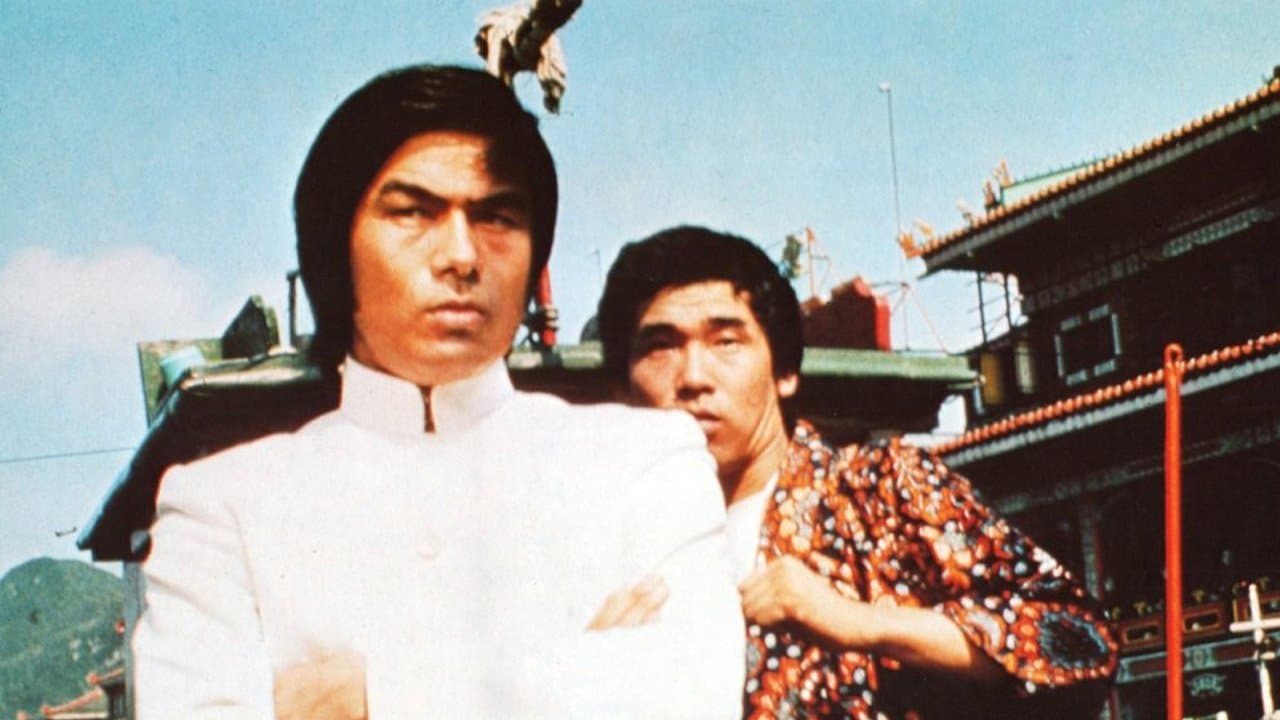 Backdrop for 神拳飛龍