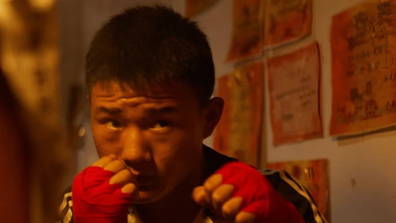 Backdrop for 骑鲸少年