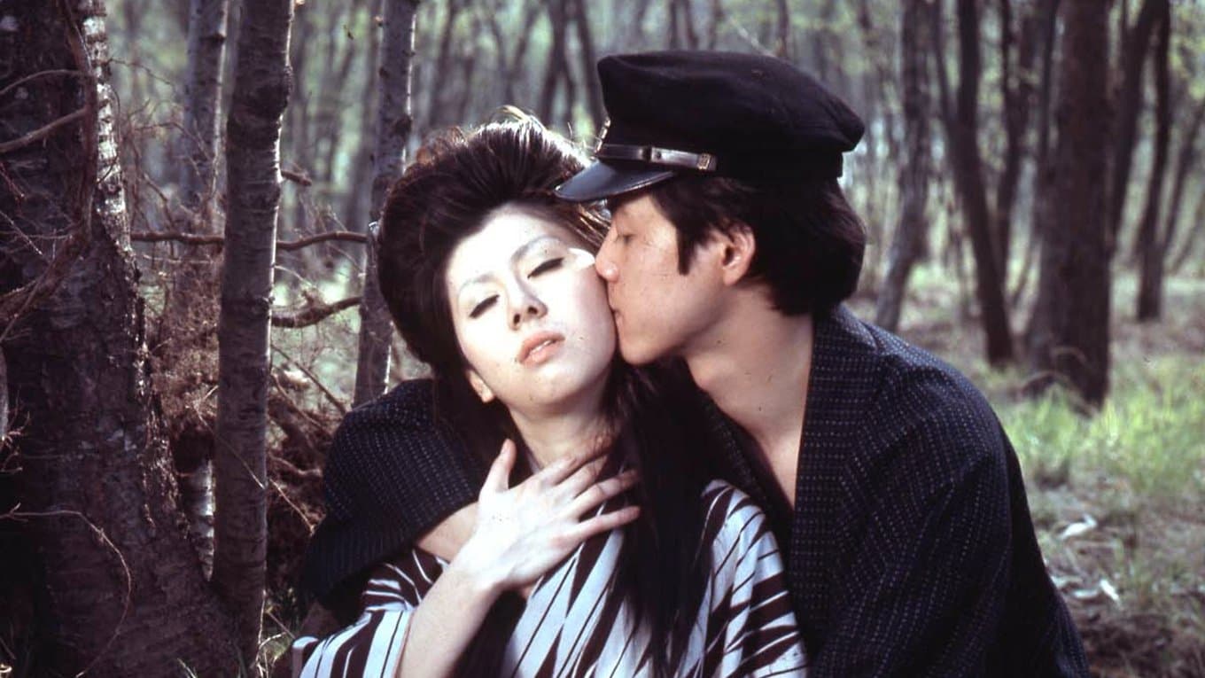 Backdrop for 秘本　乱れ雲