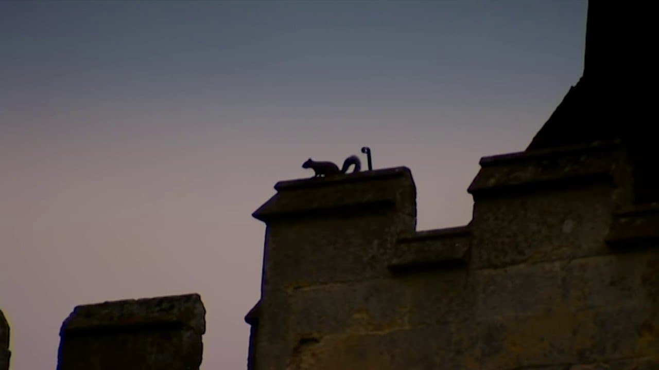 Achtergrond voor Crisis at the Castle
