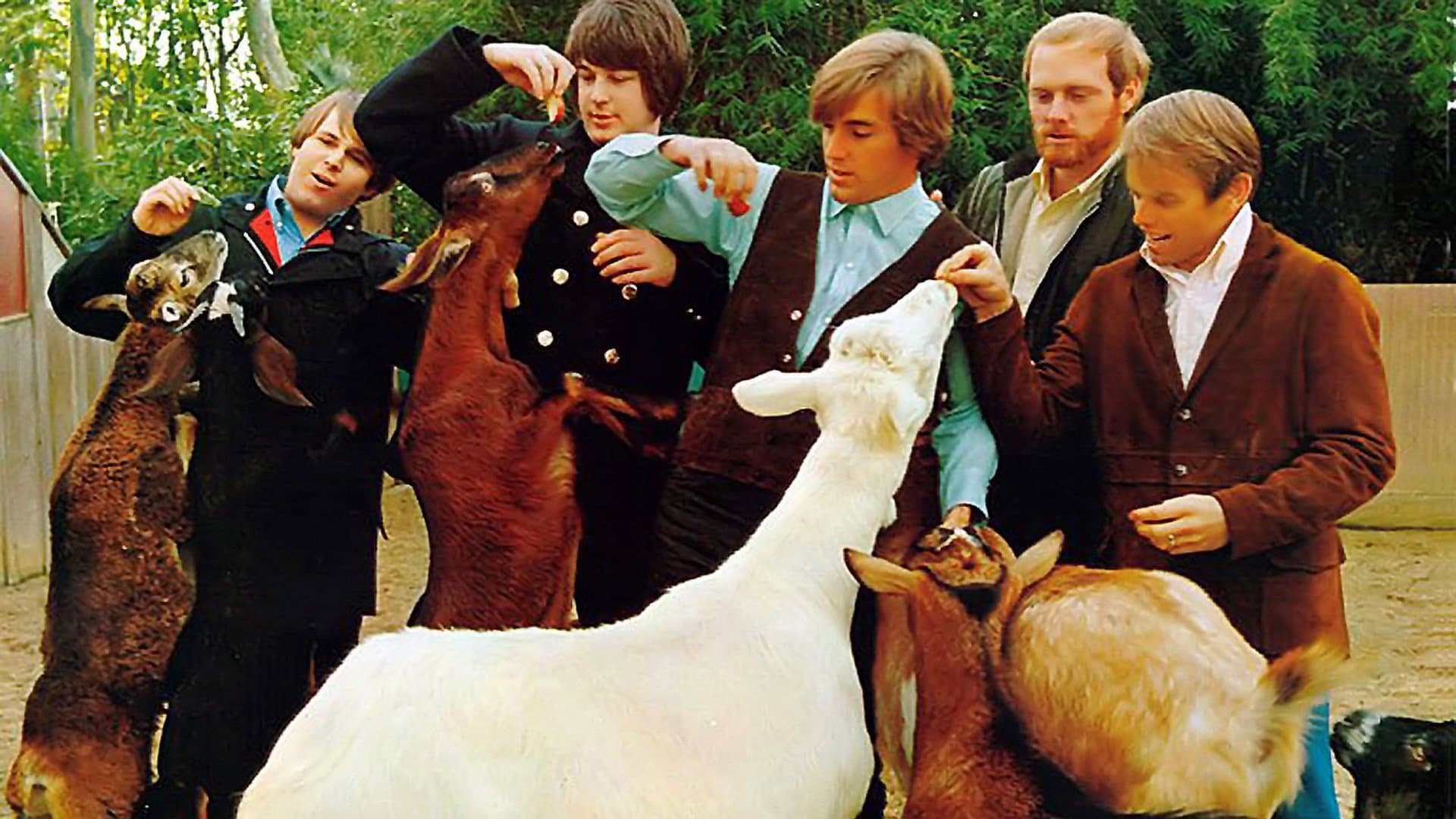 Backdrop for Classic Albums: The Beach Boys - Pet Sounds