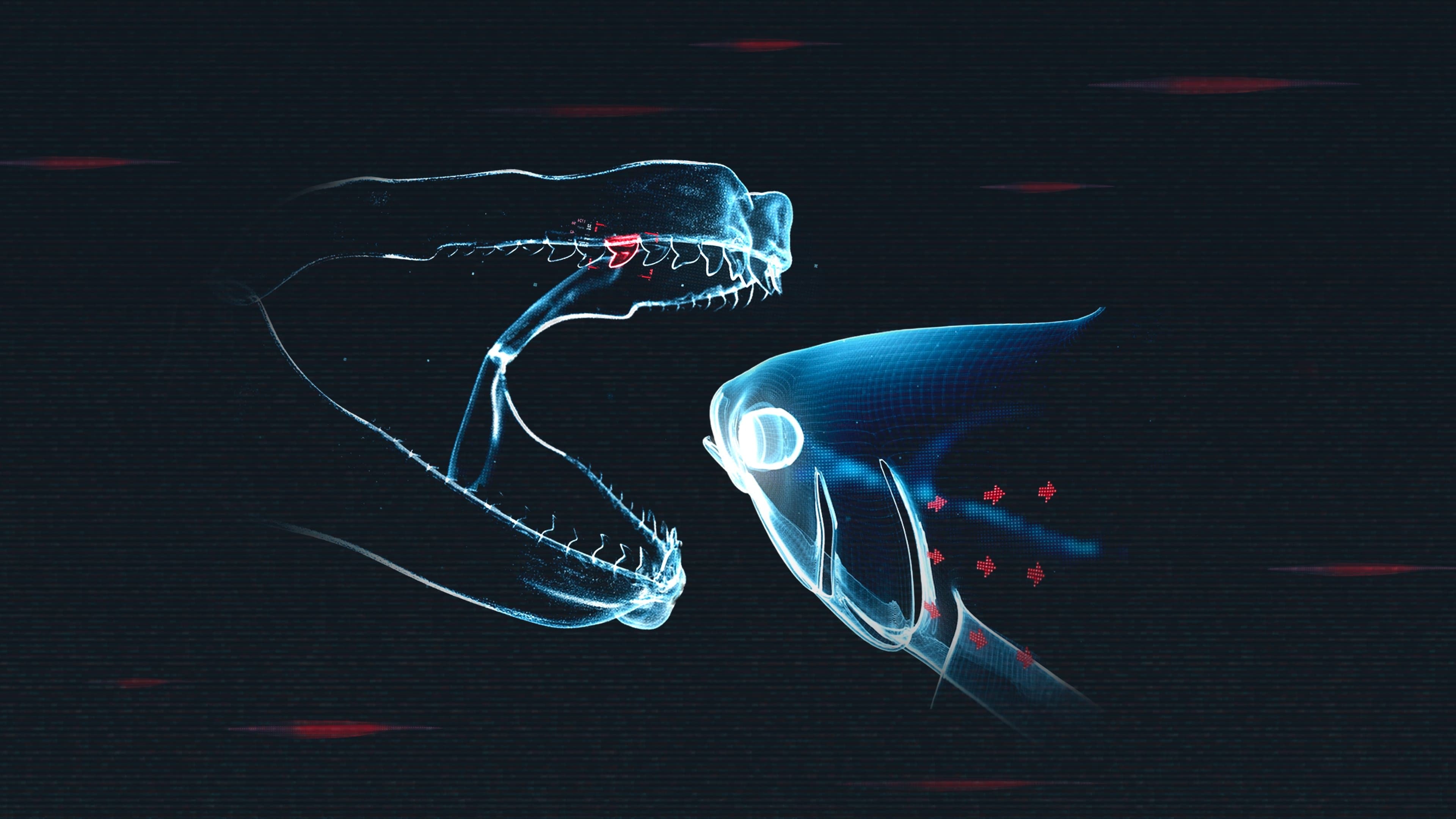 Achtergrond voor Shark vs. Tuna