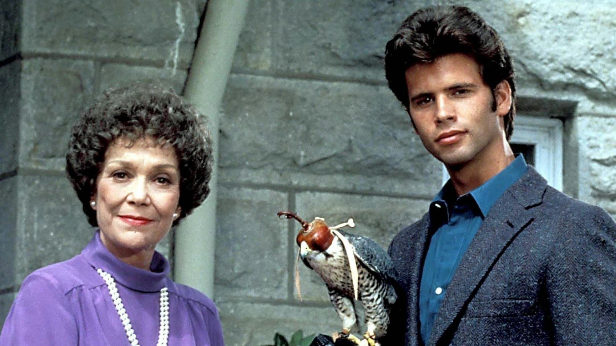 Backdrop for Falcon Crest