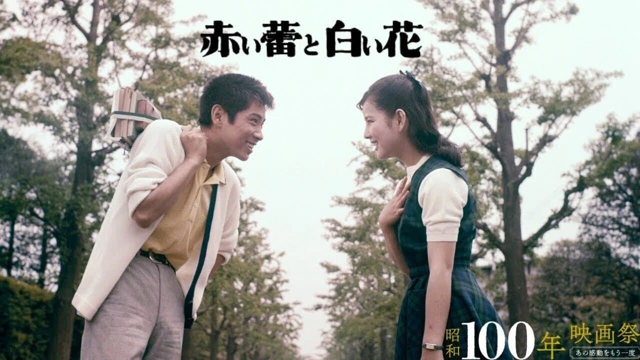 Backdrop for 赤い蕾と白い花