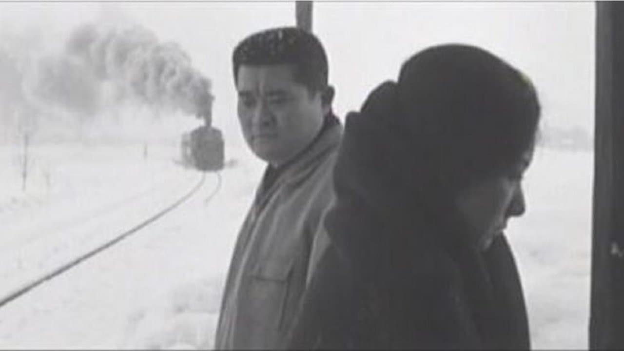Backdrop for 六條ゆきやま紬