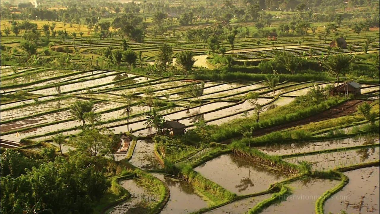Backdrop for Living Landscapes: Bali