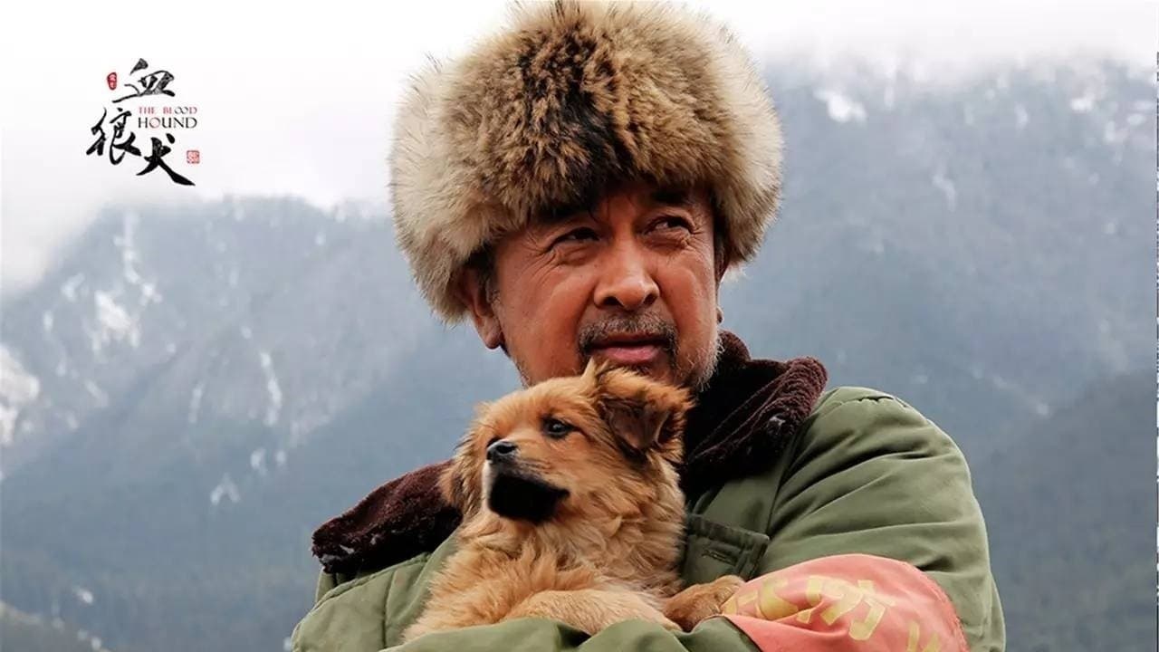 Achtergrond voor 血狼犬