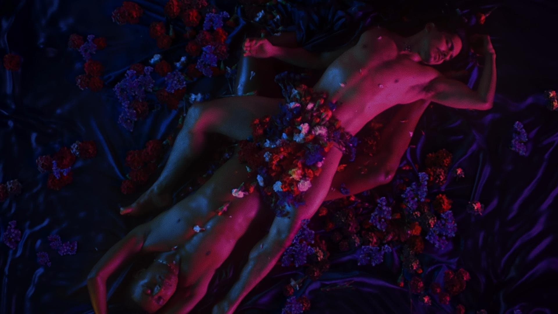 Backdrop for La Pequeña Muerte