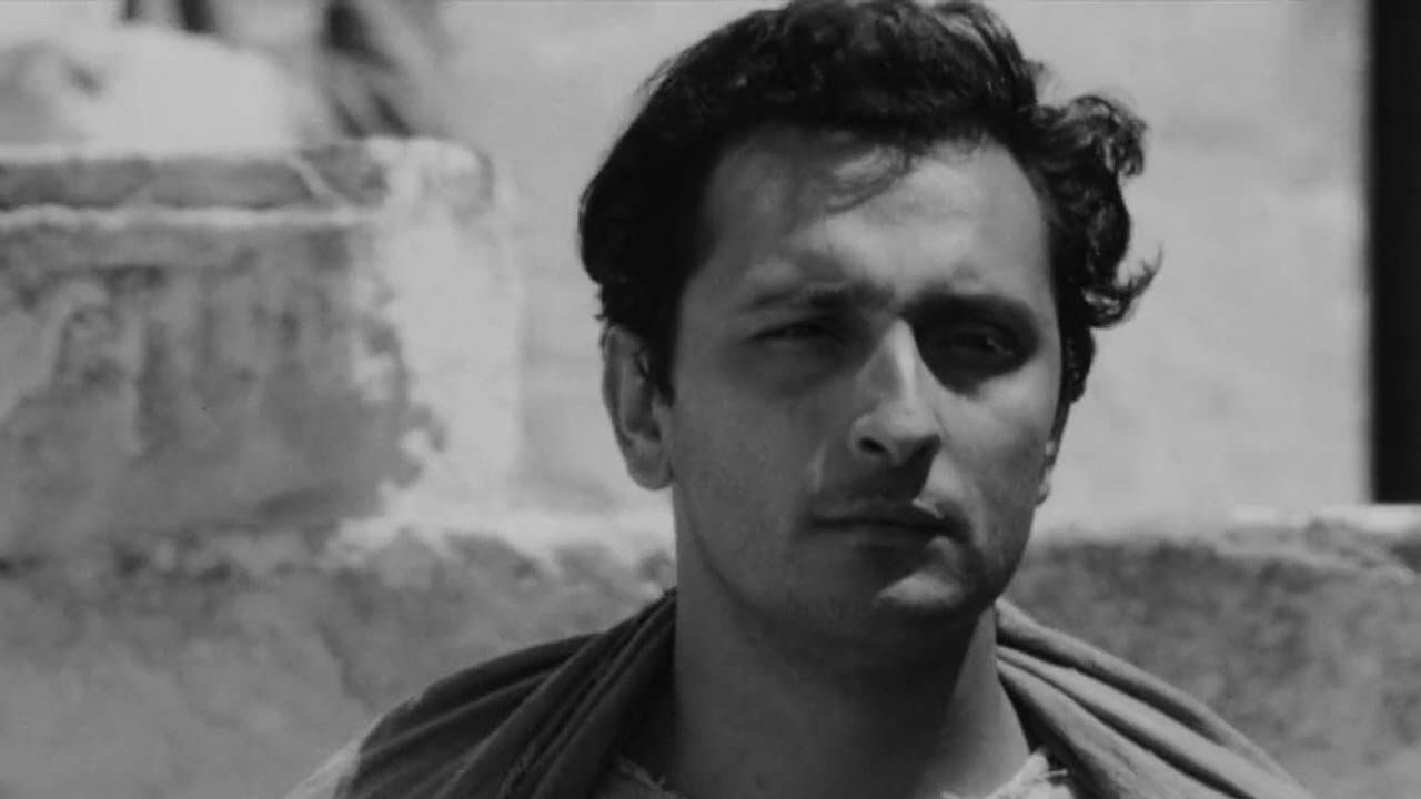 Backdrop for Pier Paolo Pasolini e la ragione di un sogno