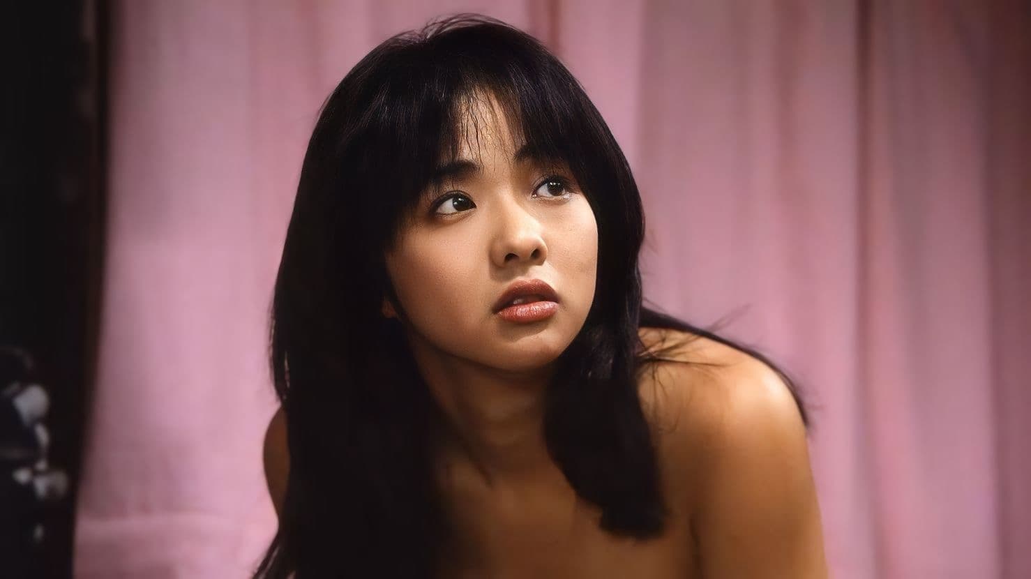 Backdrop for ピンクのカーテン３
