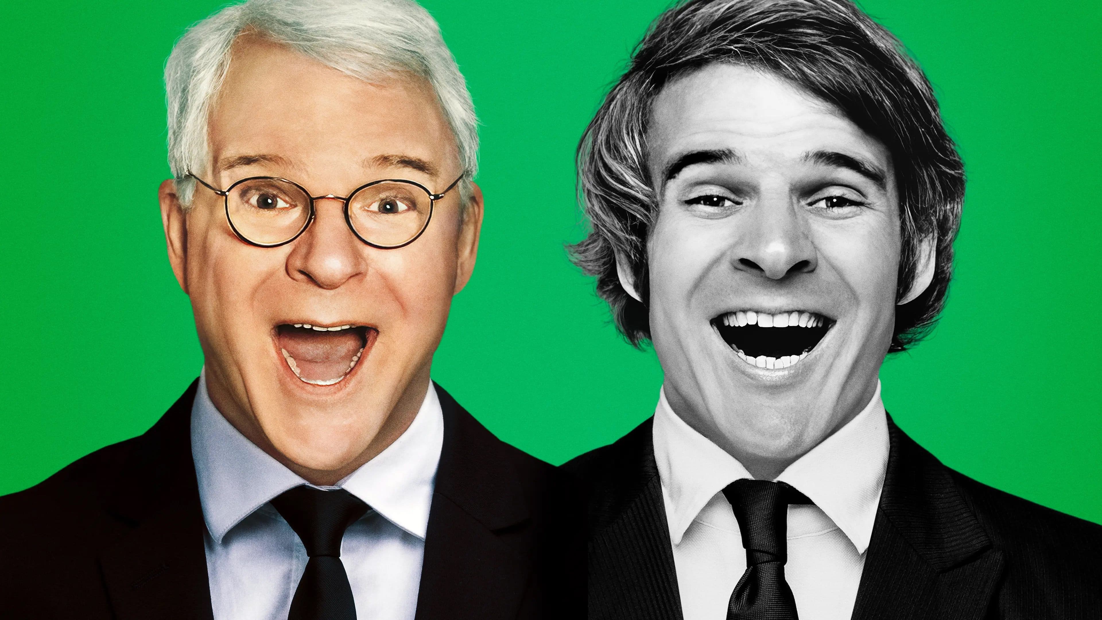 Backdrop for STEVE! (martin) a documentary in 2 pieces