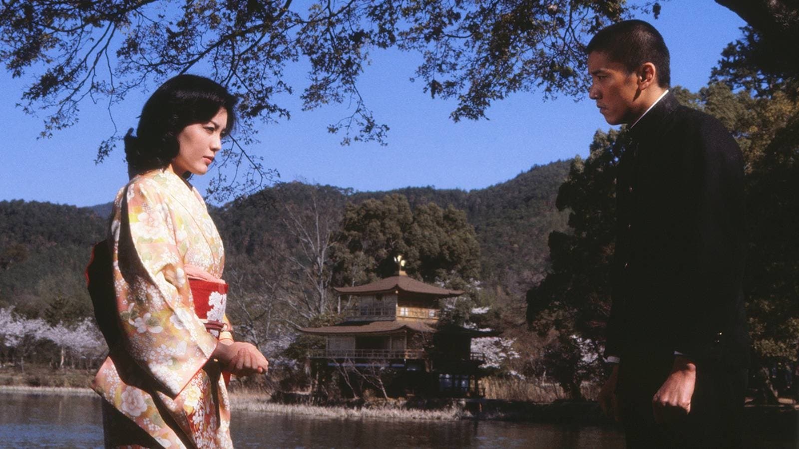 Backdrop for 五番町夕霧楼