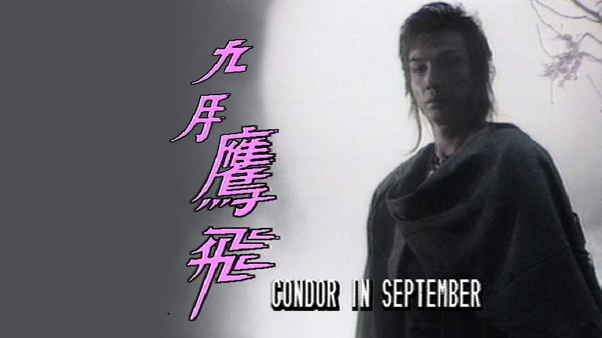 Backdrop for 九月鷹飛