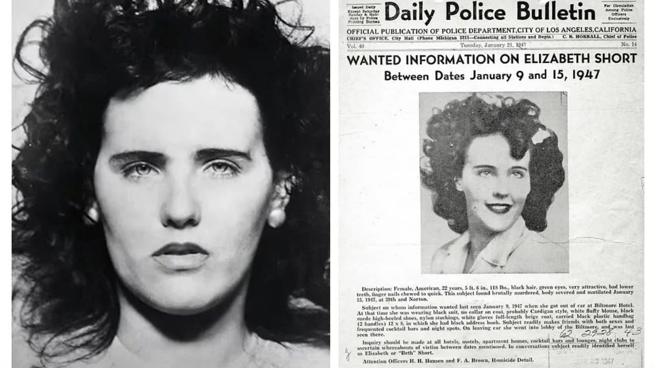 Backdrop for Black Dahlia Confidential