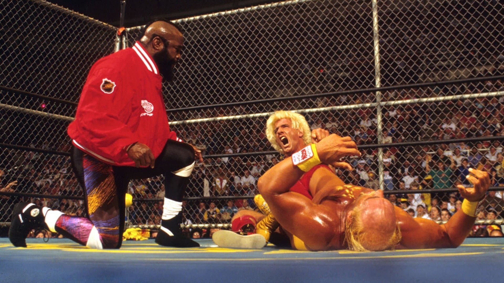 Backdrop for WCW Halloween Havoc 1994