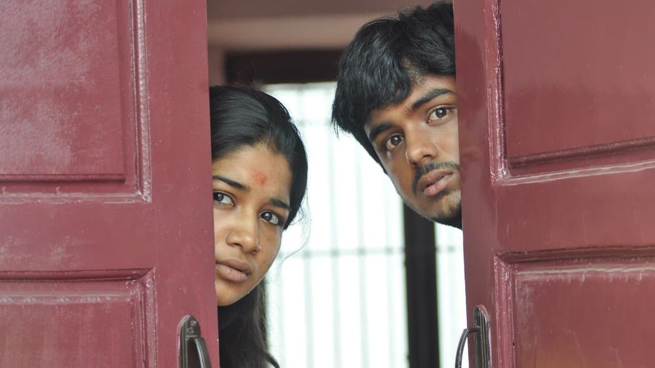 Achtergrond voor திருட்டுக்கல்யாணம்