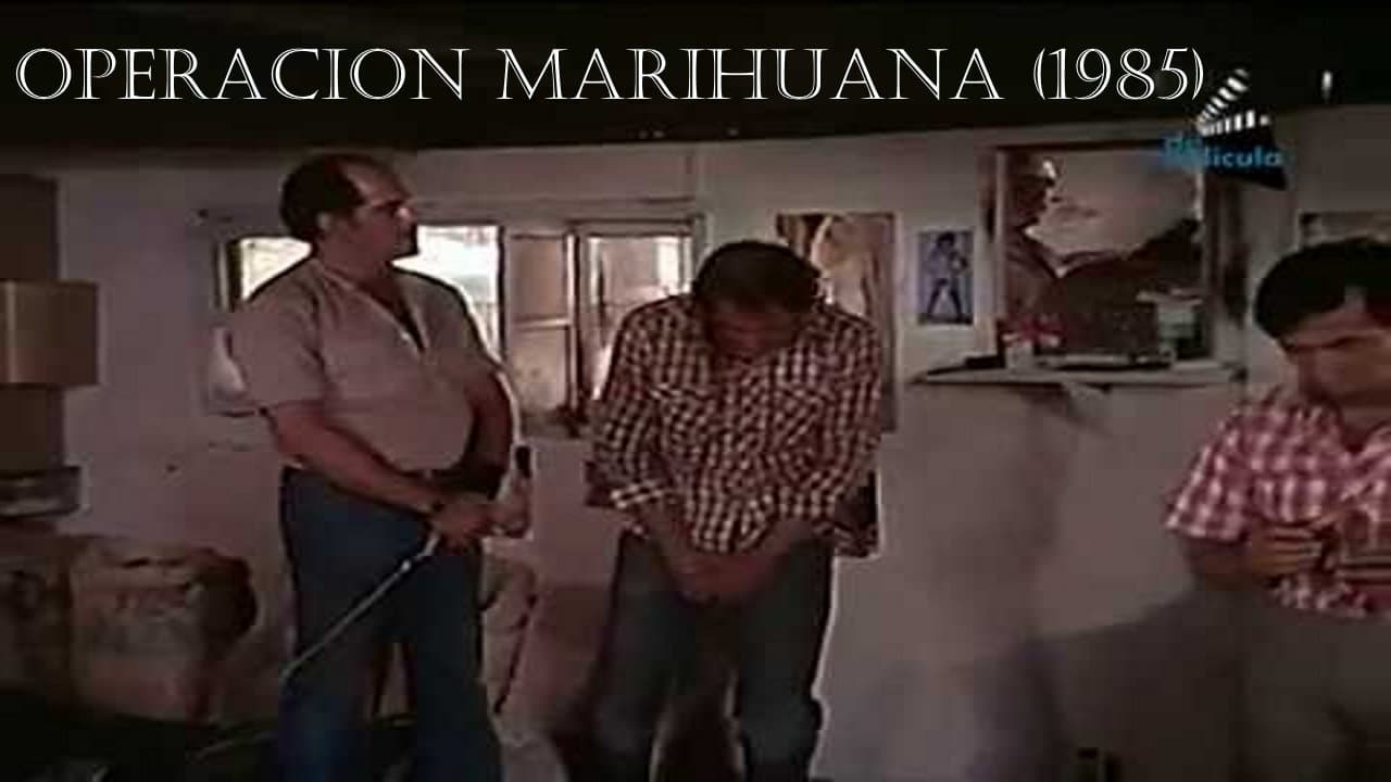Backdrop for Operacion marihuana