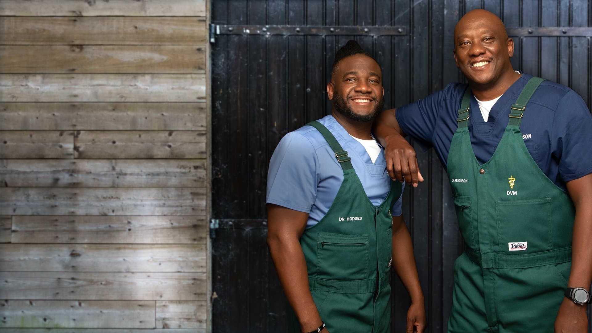 Backdrop for Critter Fixers: Country Vets