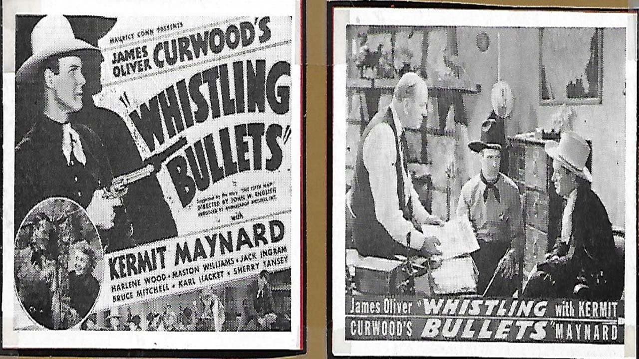 Backdrop for Whistling Bullets