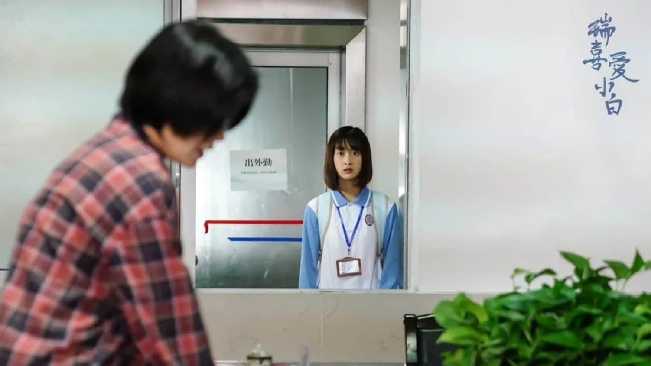 Backdrop for 瑞喜爱小白