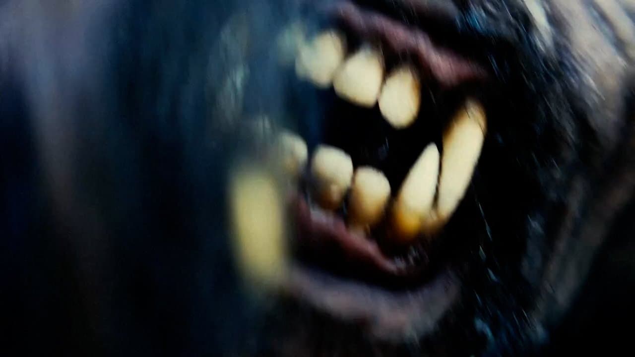 Achtergrond voor Tahoe Joe 2: The Sierra Nevada Bigfoot Conspiracy