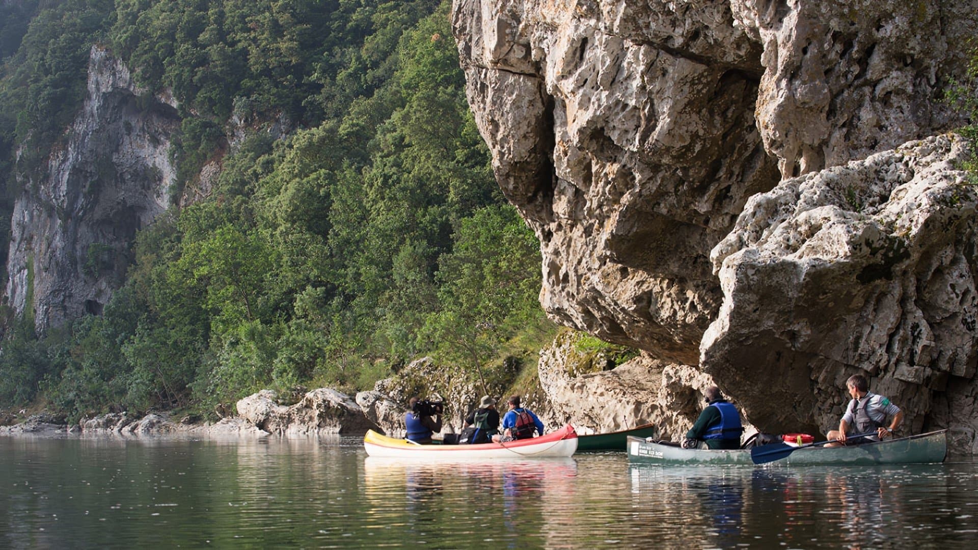Backdrop for Wild France with Ray Mears
