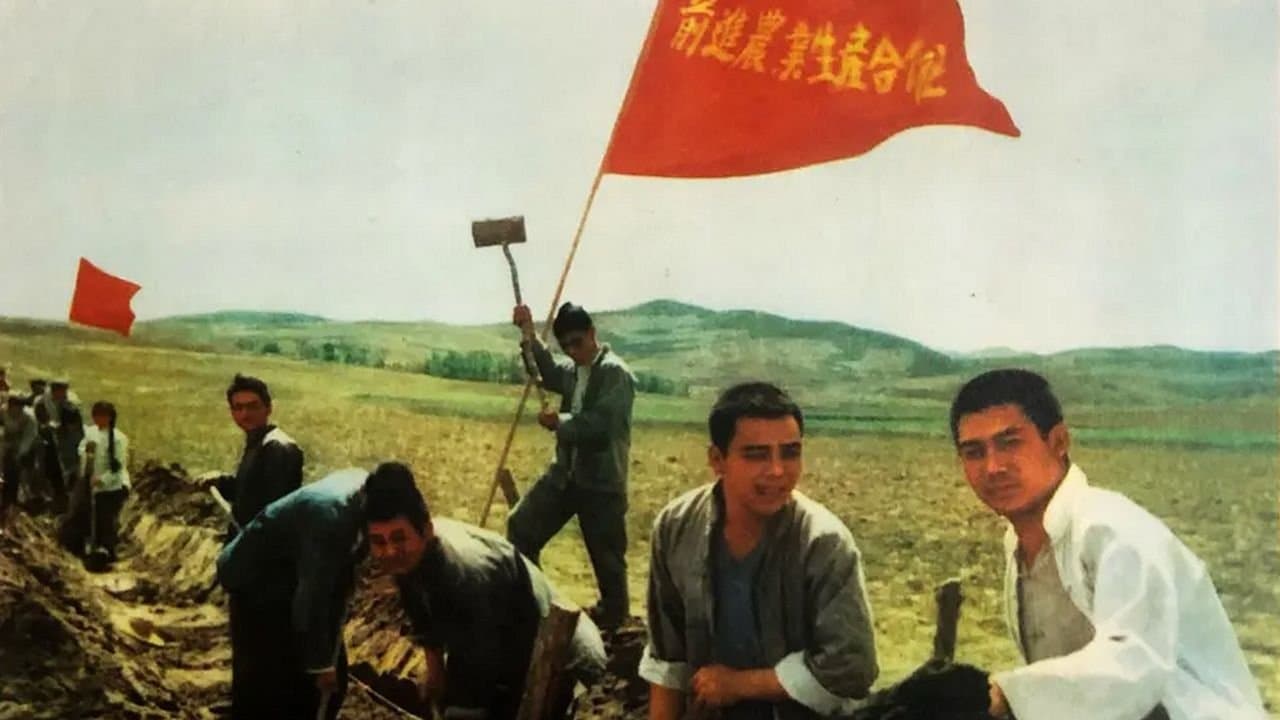 Backdrop for 金光大道（中集）