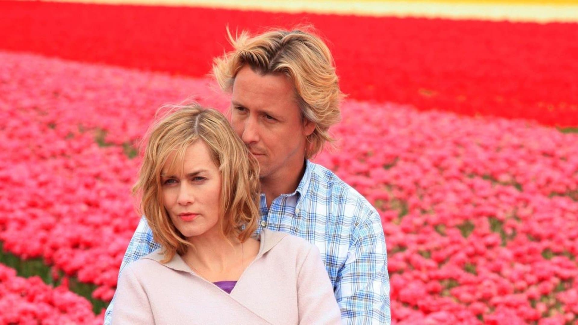 Achtergrond voor Tulpen aus Amsterdam