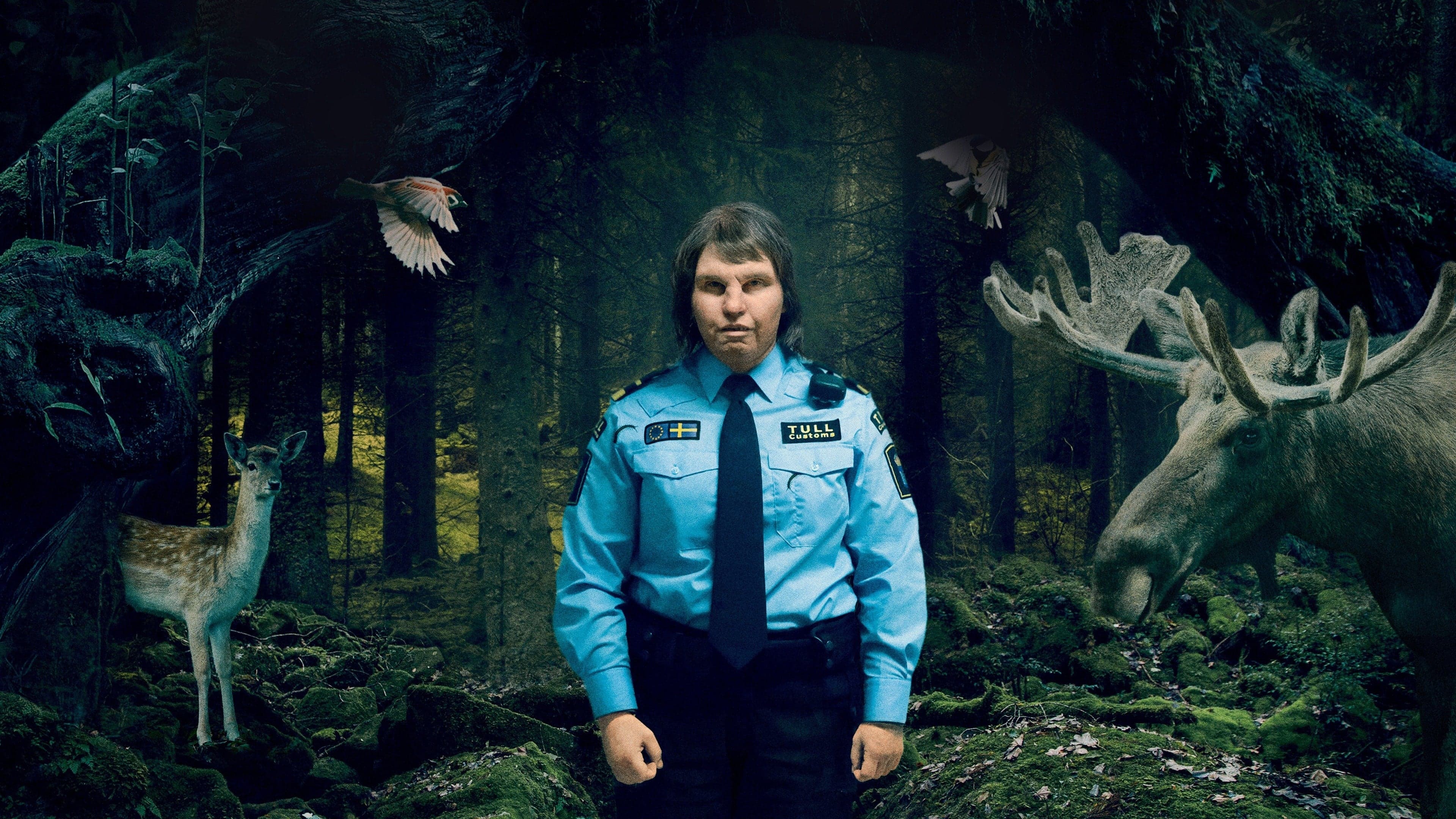 Backdrop for Gräns