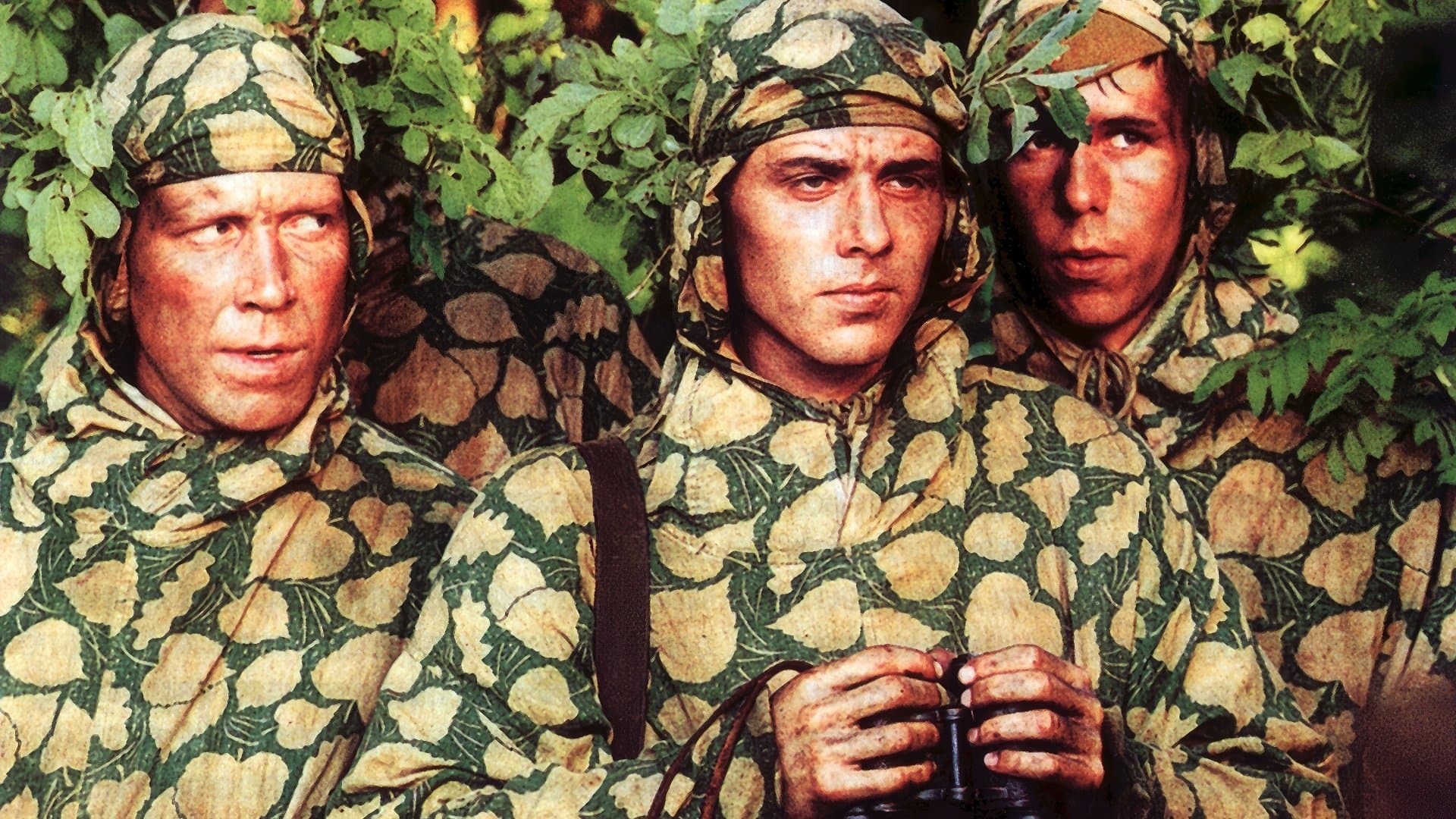 Backdrop for Звезда