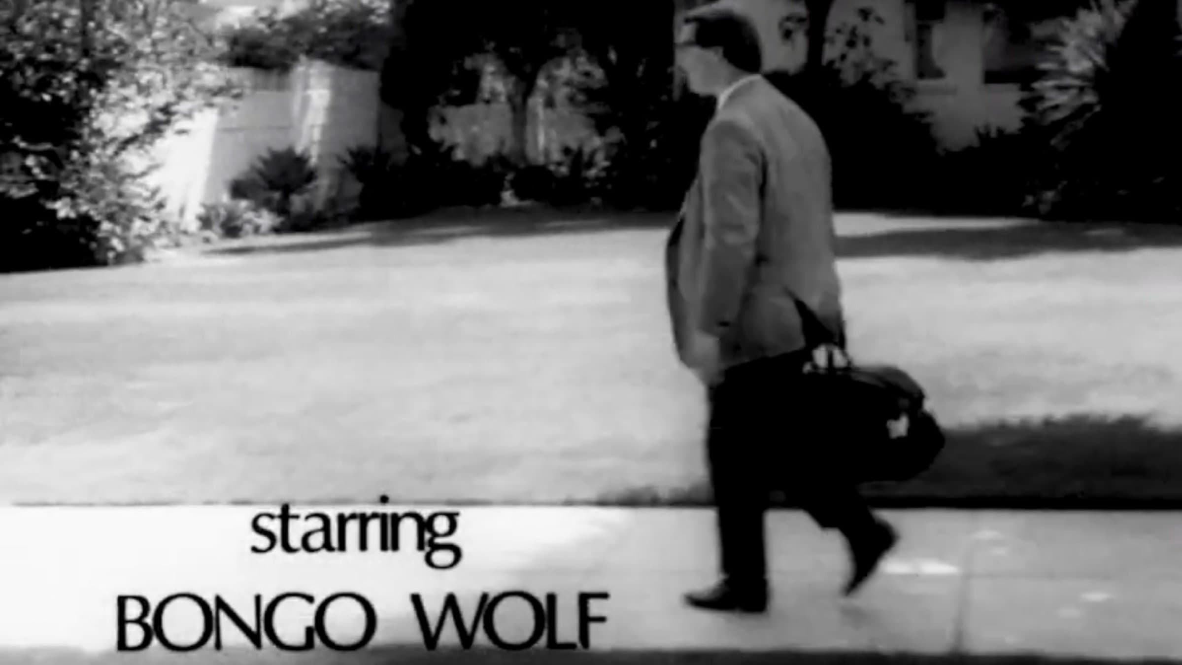 Achtergrond voor Bongo Wolf’s Revenge