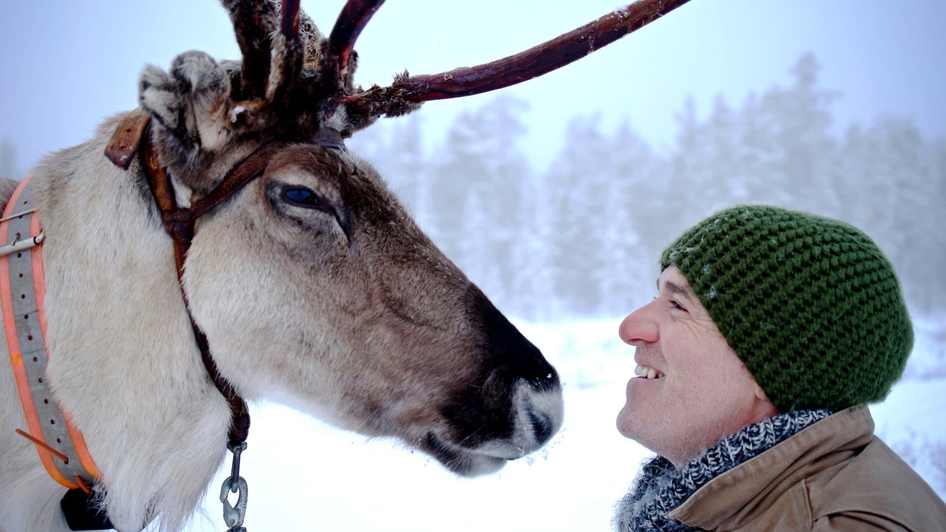 Backdrop for Reindeer Family & Me
