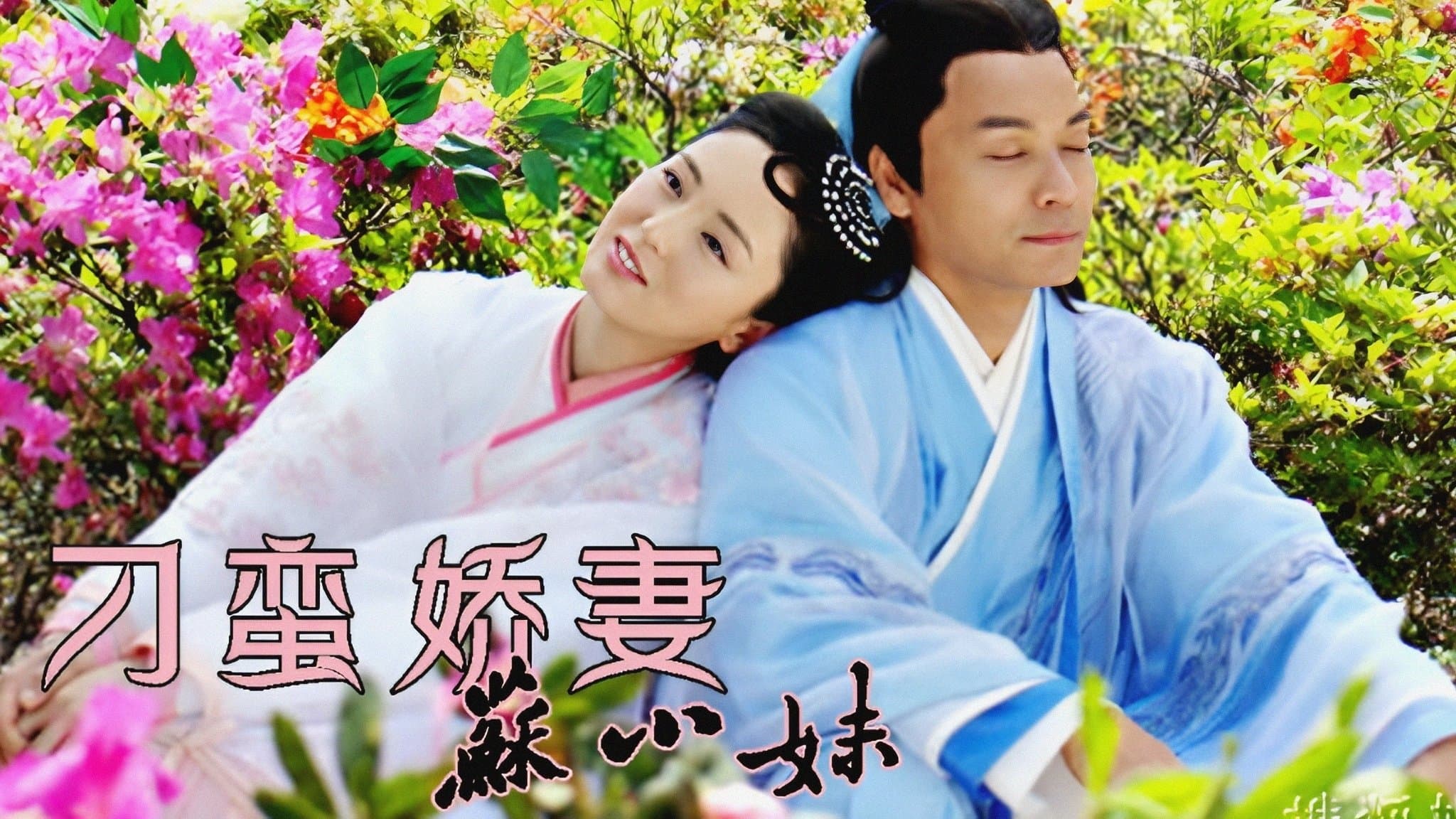 Backdrop for 刁蠻嬌妻蘇小妹