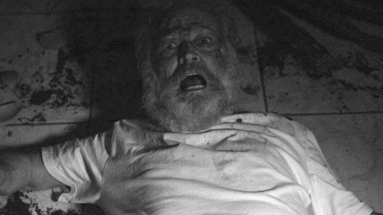 Achtergrond voor PÓLEN