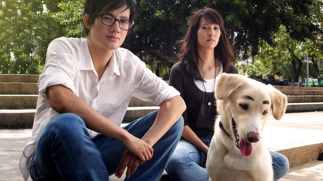 Backdrop for ความจำสั้น แต่รักฉันยาว