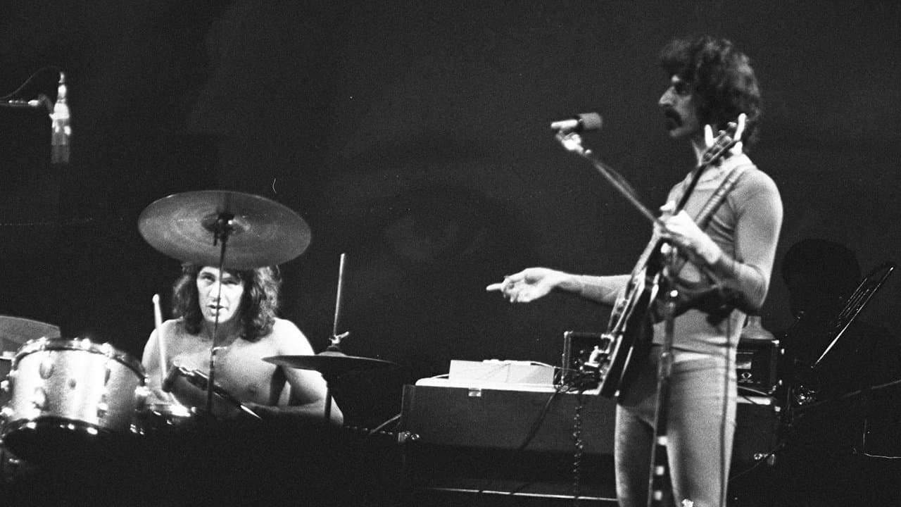 Backdrop for Frank Zappa