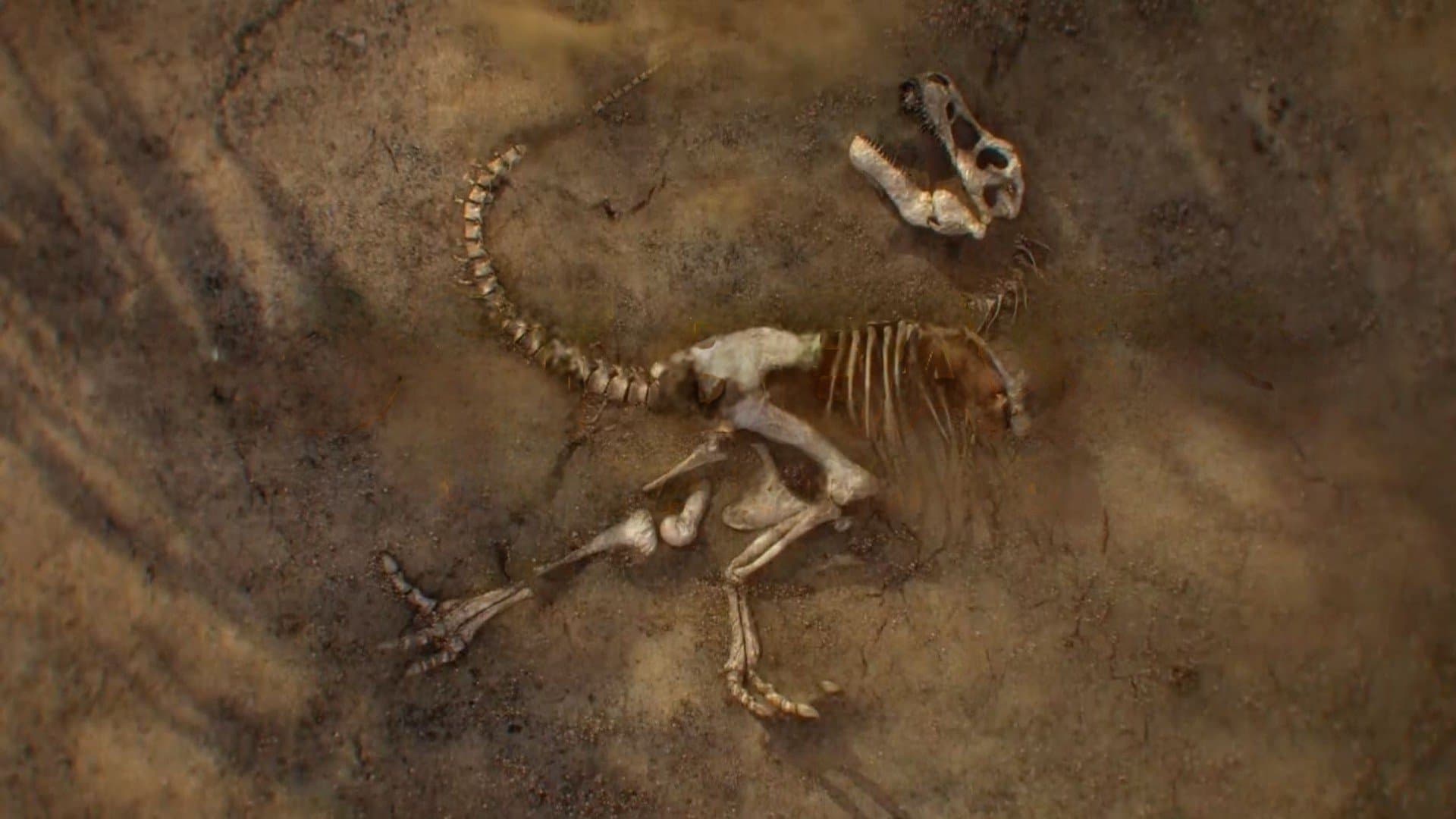 Backdrop for Lost Beasts