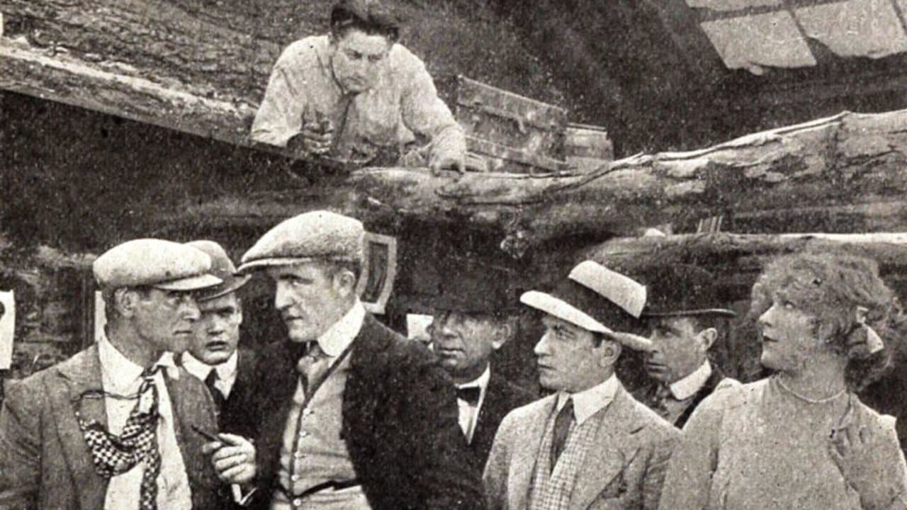 Backdrop for The Reed Case