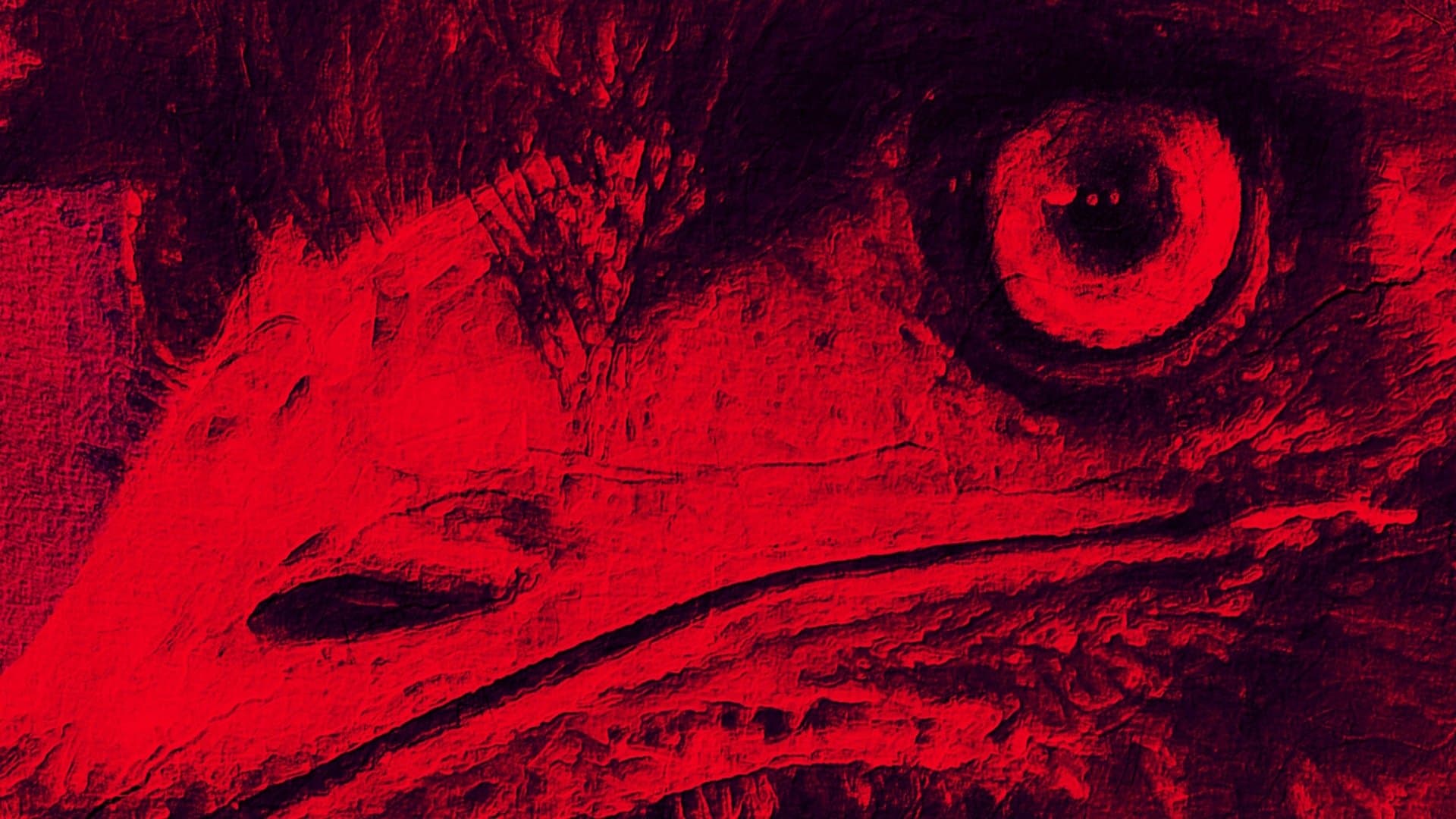 Achtergrond voor The Dark Emu Story