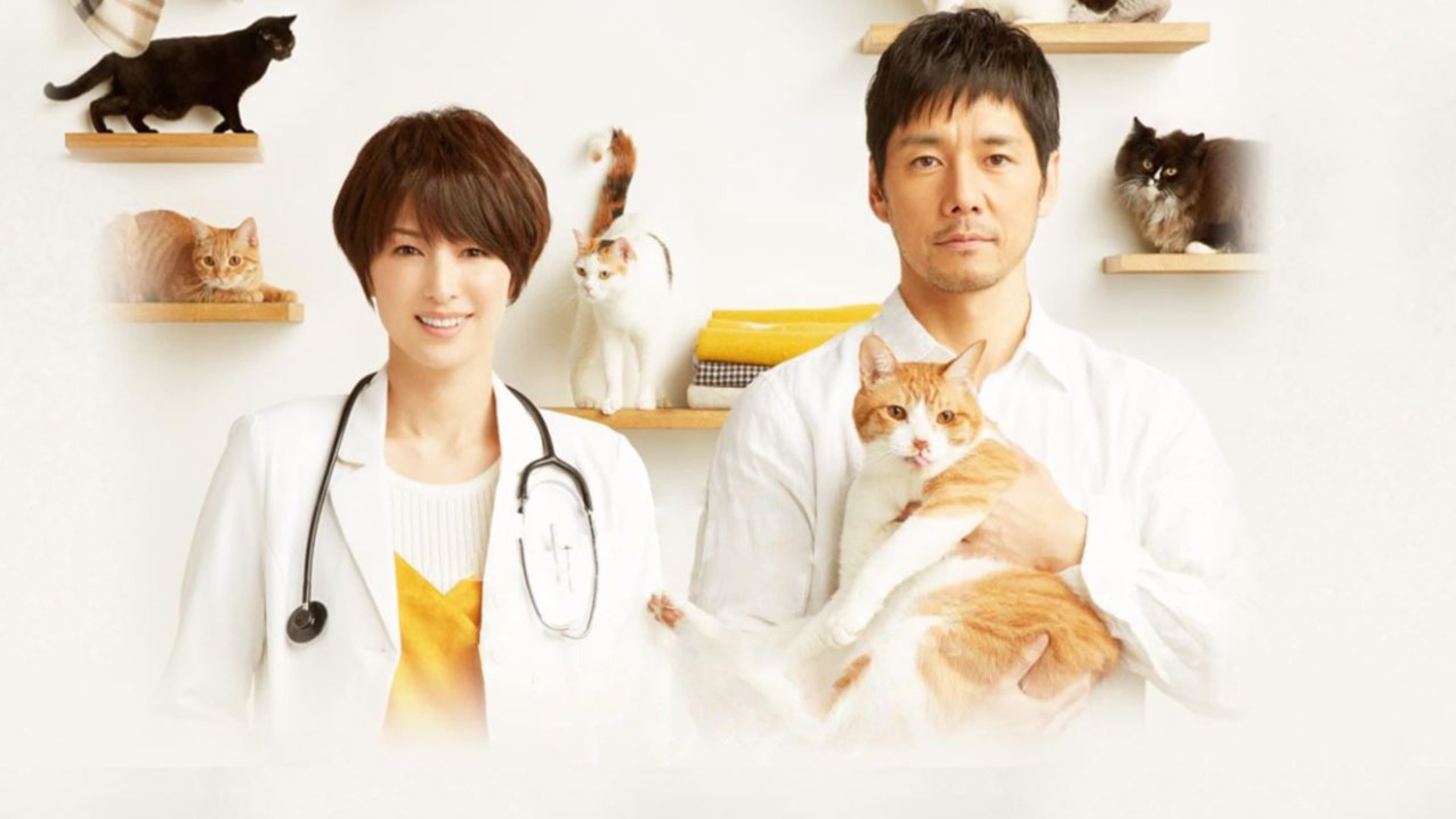Backdrop for ブランケット・キャッツ