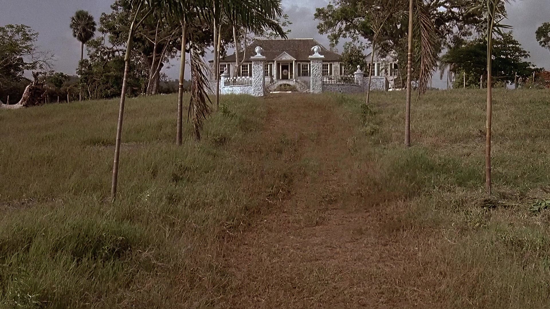 Backdrop for Wide Sargasso Sea