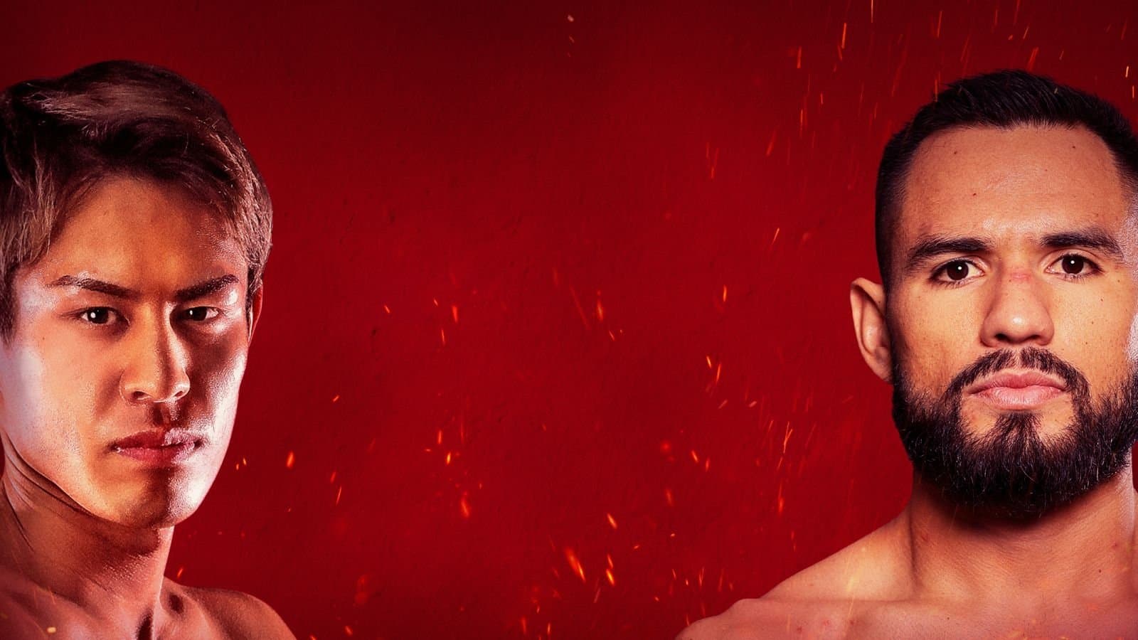 Achtergrond voor Lemino BOXING ダブル世界タイトルマッチ