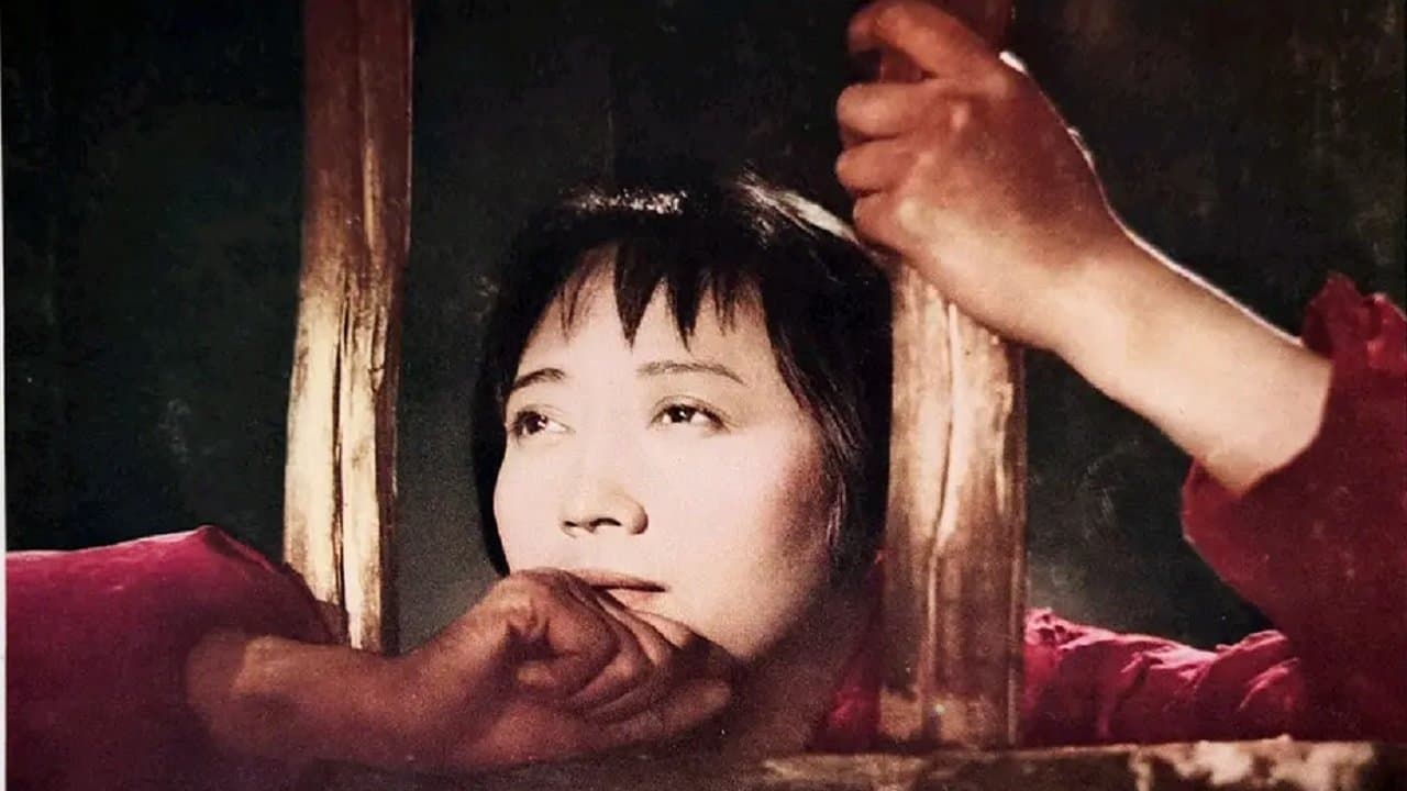 Backdrop for 鄂尔多斯风暴
