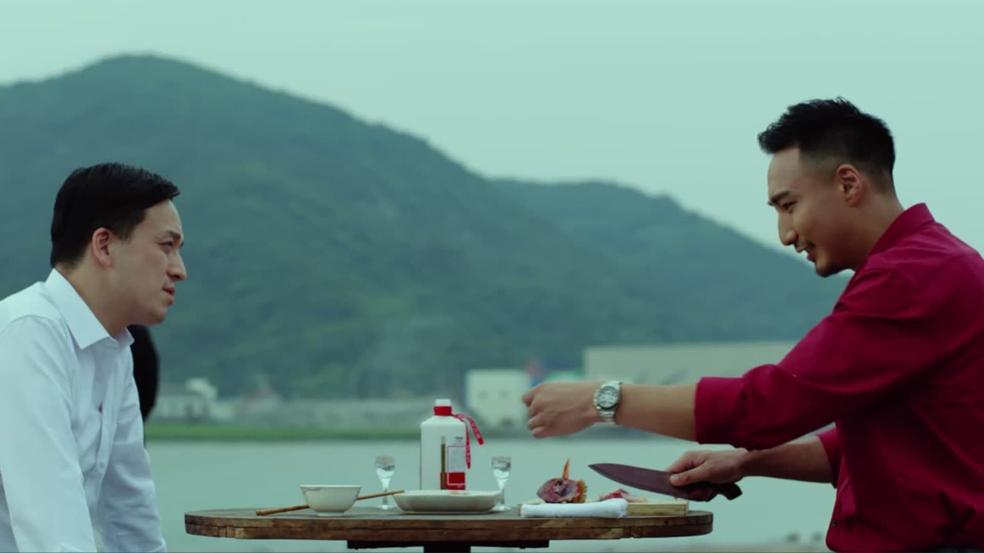 Backdrop for 绝密追击