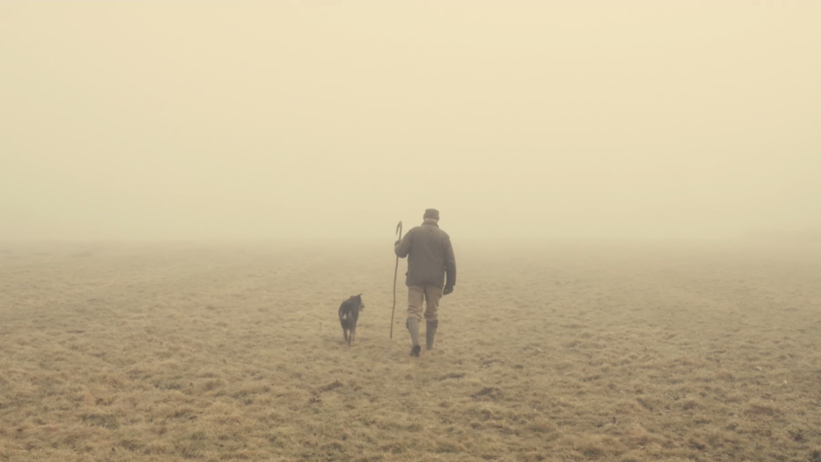 Backdrop for The Old Man and the Land