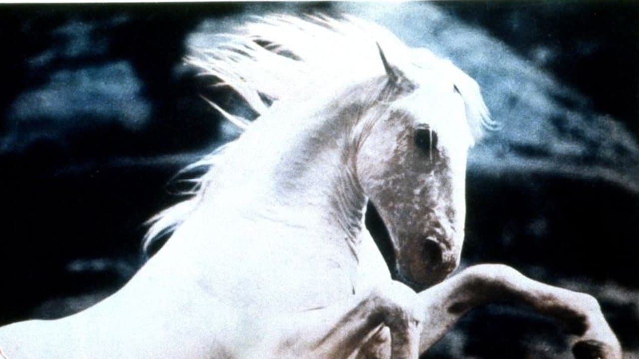 Backdrop for Silver Stallion