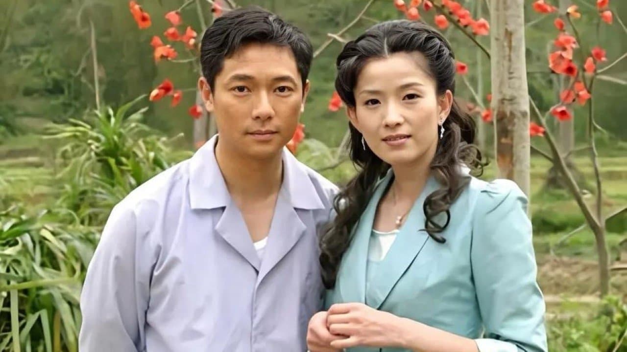 Achtergrond voor 木棉花的春天