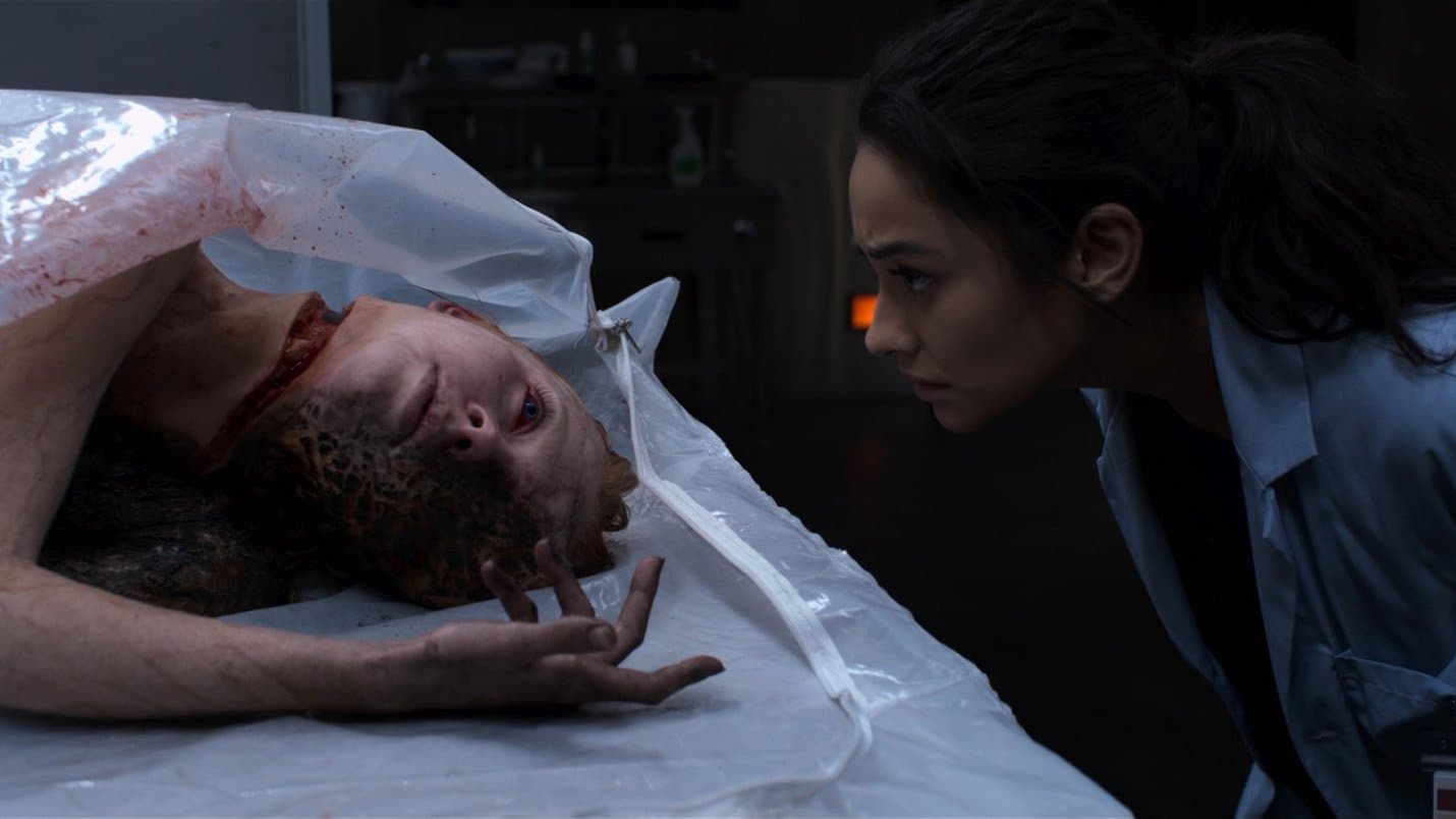 Backdrop for The Possession of Hannah Grace