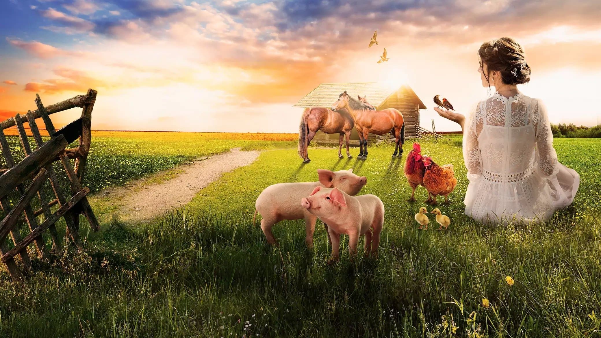 Achtergrond voor Házasodna a gazda