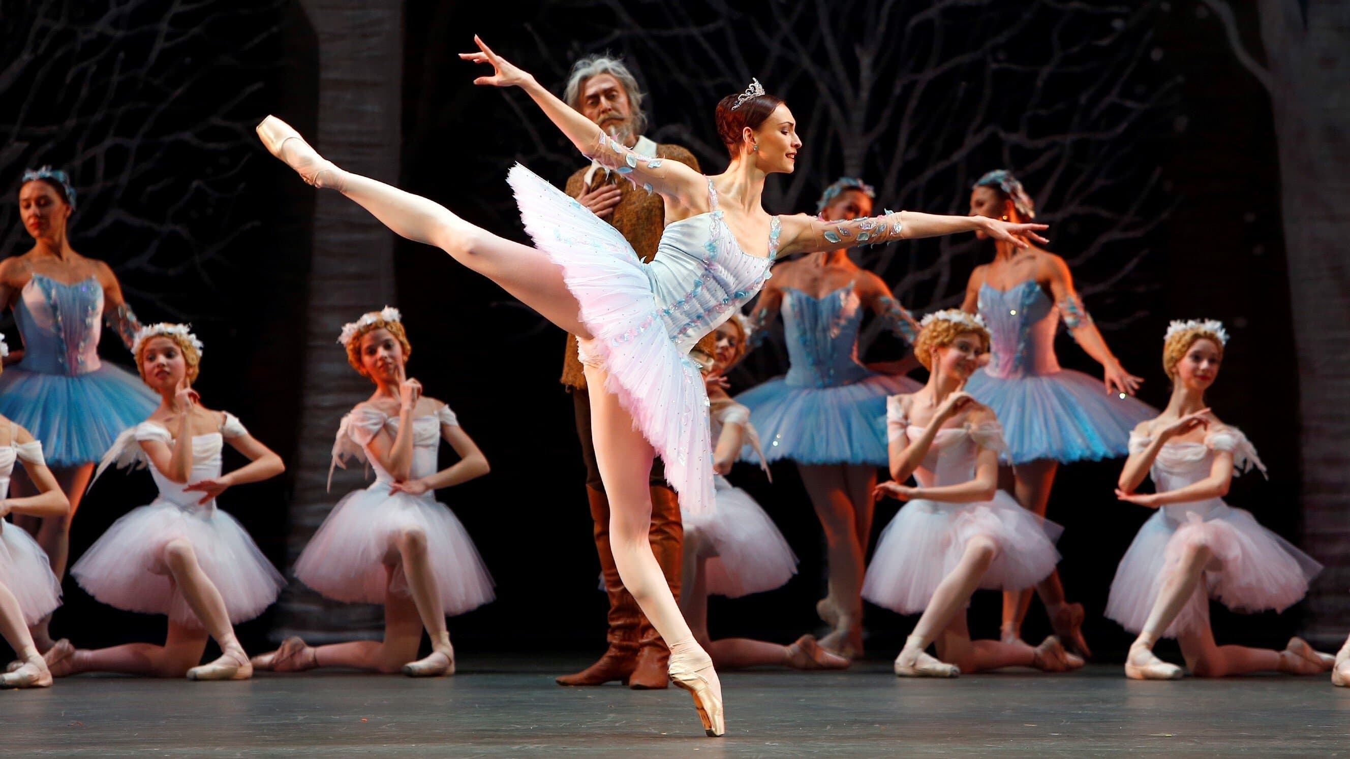 Achtergrond voor Bolshoi Ballet: Don Quixote